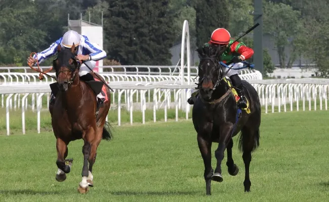 Ippica, fine settimana di galoppo all’Ippodromo Snai San Siro di Milano: sabato la 24^ giornata stagionale con otto corse dalle ore 17:50 fino alle 22:10 e tanta animazione e musica dal vivo. Domenica si replica