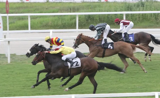 Ippica, il sabato sera di galoppo all'Ippodromo Snai San Siro con la giovane generazione sotto i riflettori: nel Premio Tramuschio di Supreme Winner, per il Boffalora l'attesa Chelsea Believe si conferma