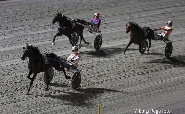 Ippica, Ippodromo di Cesena: venerdì 20 giugno, sette corse nel nome di Bronchi Combustibili