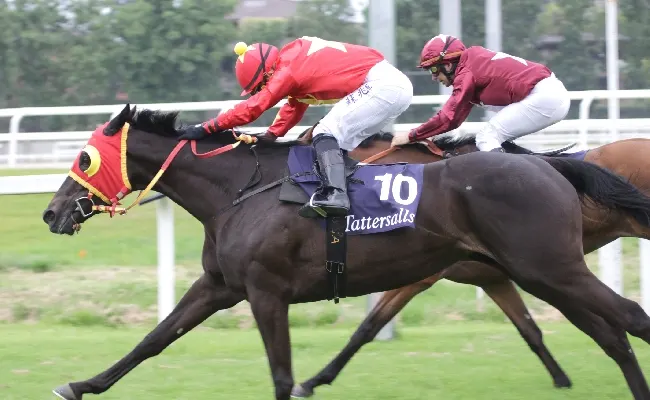 Ippica, domenica di galoppo top all'Ippodromo Snai San Siro con le Oaks d'Italia Tatterfalls, il Gp di Milano e il premio Carlo Vittadini. A bordo pista animazione, spettacoli e musica da non perdere