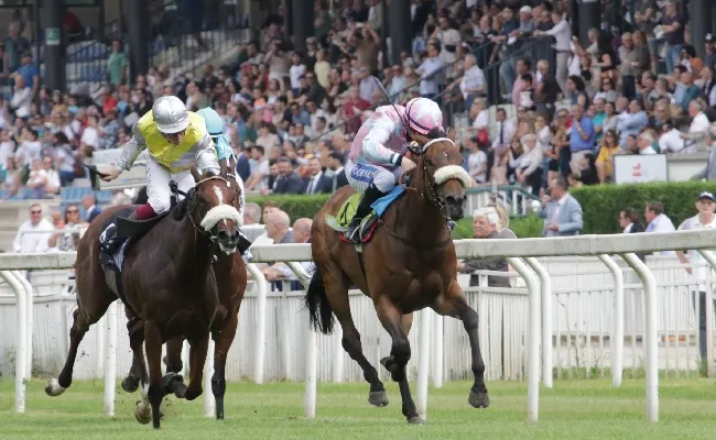 Ippica, un'altra domenica da non perdere all'Ippodromo Snai San Siro con in pista i primi passi, il Premio Estate, il Gp d'Italia e il Premio Trenno. Otto corse dalle ore 18.25. A bordo pista animazione e intrattenimento