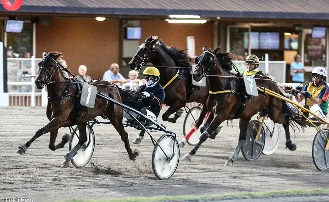 Ippica, Ippodromo di Cesena: sabato 12 luglio sette corse riservate ai gentlemen dalle ore 21