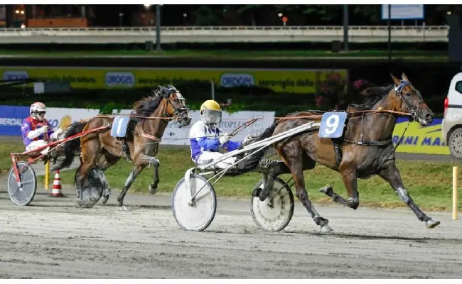 Ippodromo di Cesena: sabato 9 agosto, Orogel protagonista delle sette corse in programma. Inizio alle 20:50