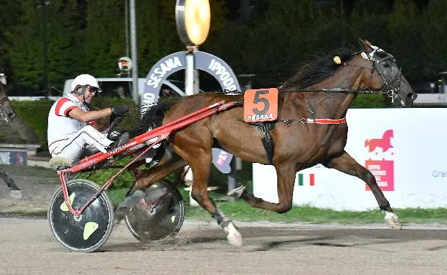 Ippica, all'Ippodromo Snai Sesana il primo sabato di settembre premia in orbita Bi nel clou della 14^ giornata di trotto. Nel 'Trofeo Denis Coku' sigillo di Dynamite Kandy