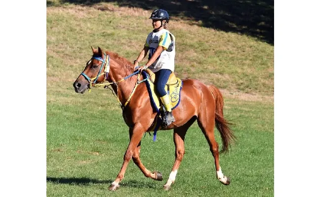 Endurance, Francesca Maria Senette su Burgesu vince il titolo italiano Endurance Pony categoria Elite