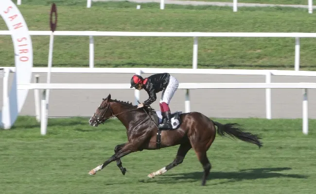 Ippica, all'Ippodromo Snai San Siro il primo infrasettimanale d'autunno di galoppo è marchiato 'Di Tocco-Botti' con Milos che si conferma (ma non del tutto), mentre Reina Julieta lancia il guanto di sfida