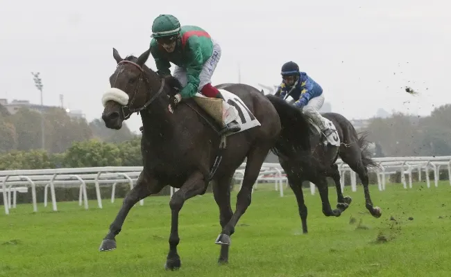 Ippica, all'Ippodromo Snai San Siro mercoledì di galoppo per la 34^ giornata con sette corse a partire dalle ore 15.20 e con in evidenza il 'Premio Riccardo Zanocchio'