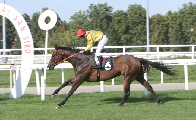 Ippica, all'Ippodromo Snai San Siro bel mercoledì di galoppo con Alburno che vince il Premio Riccardo Zanocchio, mentre nel Premio Io.Ribot sigillo di Combat Strategy dopo diciannove tentativi