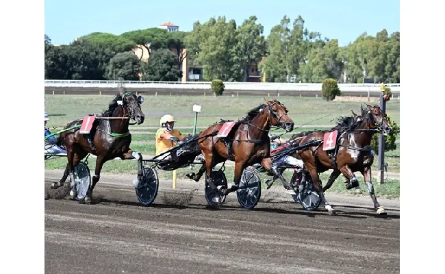 Ippica, definiti i partenti del 98° Derby Italiano del Trotto e delle Oaks del Trotto: appuntamento all’Ippodromo Capannelle domenica 12 ottobre