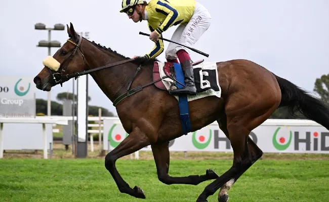 Ippica, domenica 5 grande galoppo all’Ippodromo Capannelle con il ritorno di Mr. Darcy di Max Allegri. Cresce l'attesa per il 98° Derby Italiano del Trotto in programma il 12 ottobre