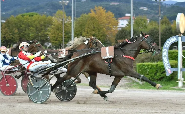 Ippica, all'Ippodromo Snai Sesana sabato con Iupiter Mail di un altro pianeta nel Premio Artiere Mario Schettino, prova per i puledri impegnati sul miglio