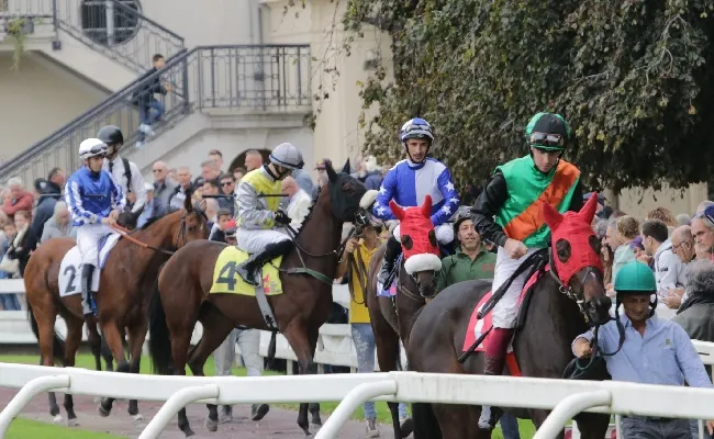 Ippica, domenica top di galoppo all'Ippodromo Snai San Siro con il fascino del Gran Premio del Jockey Club S.I.R.E., del Premio Dormello e del Gran Criterium. Animazione, intrattenimento e spettacoli per il pubblico