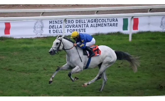 Ippica, all'Ippodromo Snai San Siro ultimo sabato di novembre con le corse al galoppo. Al via dalle ore 14.45 con sei prove e l'animazione per i bambini e le famiglie
