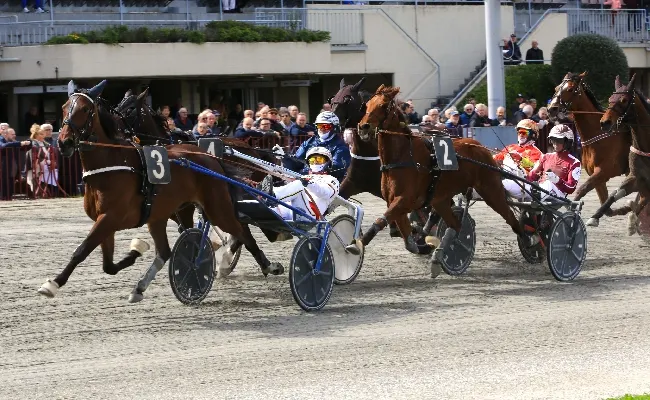 Ippica, Ippodromo di Bologna: giovedì 11 dicembre, otto corse con ottime individualità e pronostici incerti