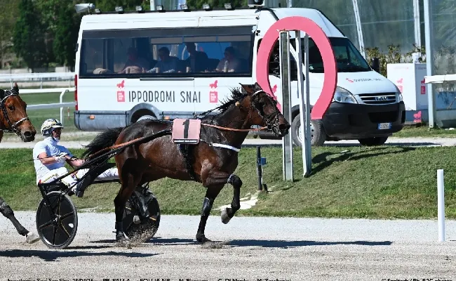 Ippica, Ippodromo Snai San Siro: Dauphin Joyeuse vince il "Gran Premio Ettore e Mario Barbetta" nel sabato di trotto