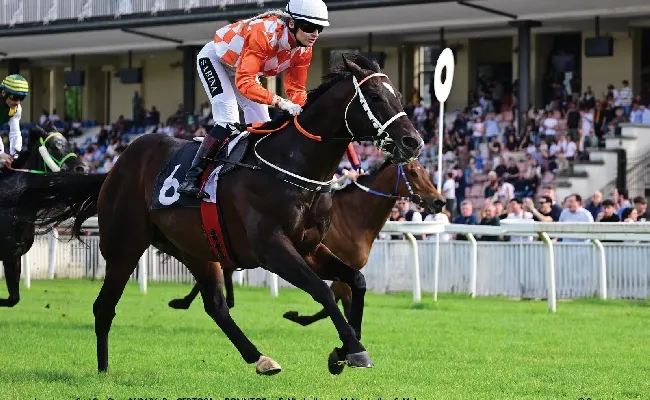 Ippica, Ippodromo Snai San Siro: nella super domenica di galoppo, il vecchio Ponntos vince la listed per il Premio Certosa