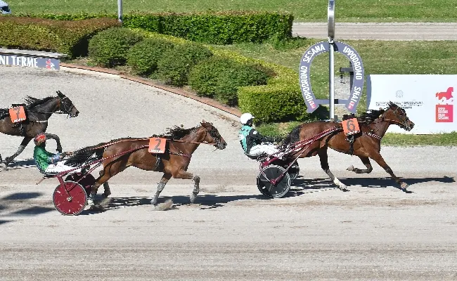 Ippica, all’Ippodromo Snai Sesana mercoledì di trotto per l’11^ uscita stagionale con in pista sette corse dalle ore 18:15