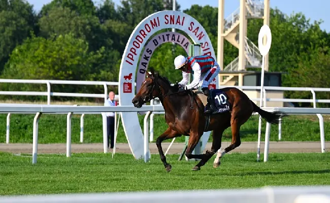 Ippica, Ippodromo Snai San Siro: Piccola Piuma domina le Oaks d’Italia, l’UAE President Cup premia RB Burn the Bill