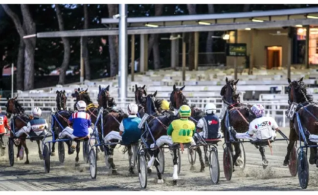 Ippica, Ippodromo di Cesena: venerdì 26 giugno, corse dalle 20:45 con TQQ, nel nome del Circolo Aurora di Forlì
