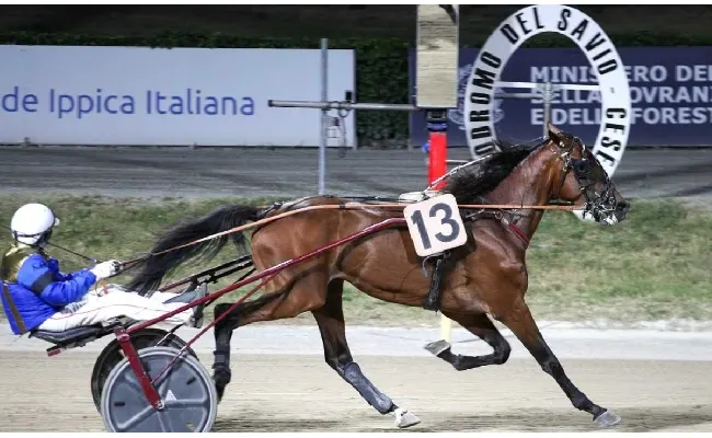 Ippica, Ippodromo di Cesena: resoconto delle corse di venerdì 26 giugno 2026
