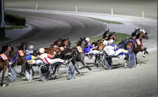 Ippica, Ippodromo di Cesena: martedì 21 luglio, seconda semifinale Tomaso Grassi Drivers Award. Dalle 20:45 top driver si sfidano nella serata "Adac"