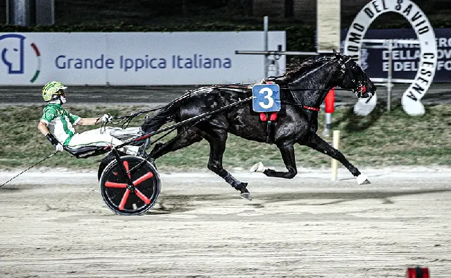 Ippica, Ippodromo di Cesena: resoconto delle corse di martedì 4 agosto 2026