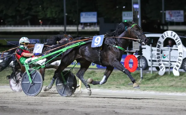 Ippica, Ippodromo di Cesena: resoconto delle corse di sabato 8 agosto 2026