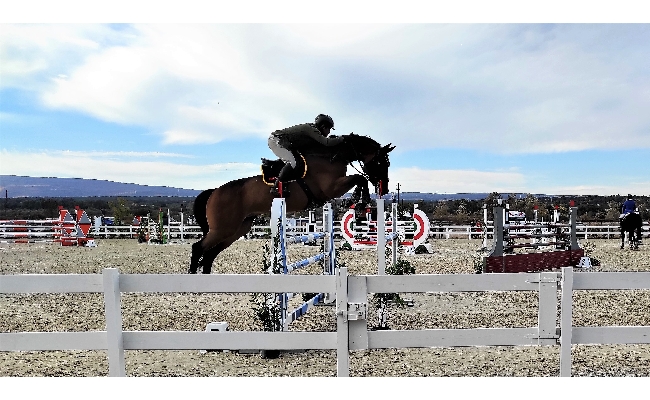 Equitazione salto a ostacoli: il Sardegna Jumping Tour 2021 si apre con la doppietta di Simone Coata nella C130 e C140