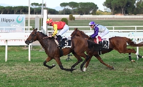 Ippica Road to Arc vince il Premio Jockey a Capannelle. Nel Premio Dormello affermazione di Atamisque Don Chicco trionfa nel Gran Criterium