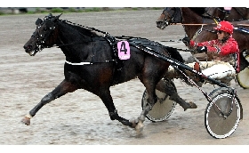 ippica Betflag a Torino cavalli in pista per il Gran Premio Orsi Mangelli