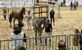 Fieracavalli Verona: nel Trofeo Pony vittoria di Sofia Zara su Infusu