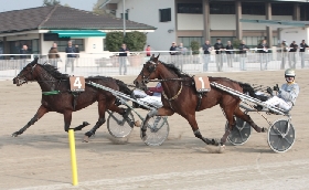 Ippica Italia Francia Gran Premio Europa Bengurion Jet BetFlag