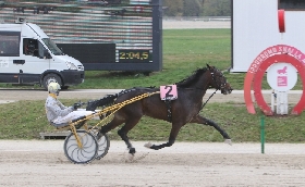 Ippica martedì ultima riunione di corse di novembre all'ippodromo Snai La Maura in attesa della Coppa di Milano del 7 dicembre