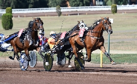 Ippica Santo Stefano Ippodromo Snai La Maura Premio Luigi Canzi