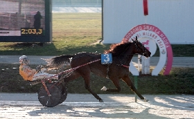 Ippica domenica all'ippodromo Snai La Maura: il via dalle ore 13.25 con il premio Mago d'Amore