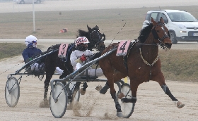 Ippica all'Ippodromo Snai La Maura a sette giorni dal GP Mario Locatelli è Santo Mollo il protagonista assoluto