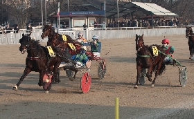 Ippica iniziative gratuite per famiglie e bambini all'Ipprodromo Snai La Maura per le domeniche di febbraio e marzo