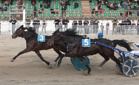 all’ippodromo snai la maura andrea farolfi e jessica pompa protagonisti della bella giornata del trotto milanese