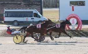 Ippica venerdì all'Ippodromo Snai La Maura con il premio Carnevale