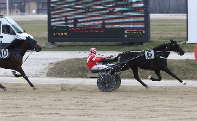 Ippica domenica 27 febbraio il Gran Premio Encat all'Ippodromo Snai La Maura