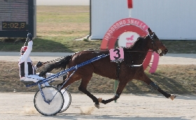 Ippica venerdì Ippodromo Snai La Maura Premio Erika BI