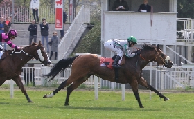 IPPODROMO SNAI SAN SIRO STORM PART PREMIO OLEGGIO