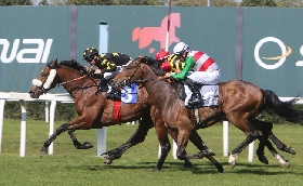 ALL’IPPODROMO SNAI SAN SIRO GOLD TANGO VINCE IL PREMIO SCUDERIA ANDY CAPP NEL PREMIO LADY M È VALZER A SPUNTARLA AL FOTOFINISH