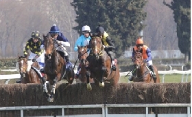 DOMENICA DI ALTO LIVELLO ALL’IPPODROMO SNAI SAN SIRO CON IL CLOU DELLE PROVE AD OSTACOLI. AL VIA DALLE 14:25