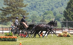 Equitazione FEI World Championships Pratoni 2022 Test Event attacchi