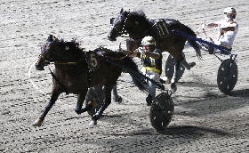 Ippica ippodromo Cesena: il resconto delle gare di trotto di venerdì 8 luglio