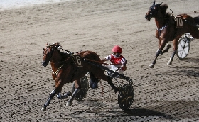 Ippica ippodromo Cesena: presentazione delle corse di martedì 12 luglio 2022