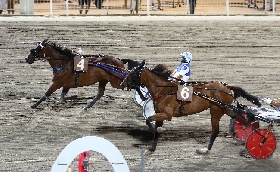 Ippica Ippodromo Cesena: il resoconto delle corse di venerdì 15 luglio