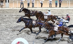 ippica ippodromo cesena premio adac 