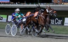 ippodromo cesena trotto premio fattoria nicolucci